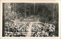 Redwood Forest Theatre Postcard