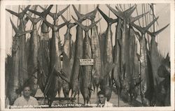 Pahaiso De Pescapores Postcard