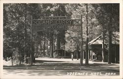 Camp Curry Yosemite Valley, CA Postcard Postcard Postcard