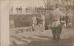 Stock #1011061 Thumbnail