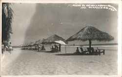 Playa el Reyolecabero Postcard