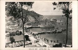 Avalon Bay Santa Catalina Island, CA Postcard Postcard Postcard