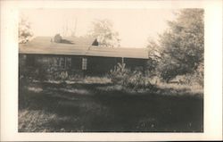 House in a wood Postcard