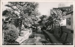 San Antonio River in the Heart of the City Postcard