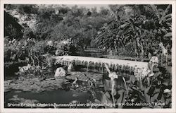 Stone Bridge Chinese Sunken Garden Postcard