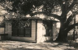 Jack London's Den Glen Ellen, CA Postcard Postcard Postcard