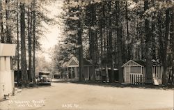 General View of Hoberg's Resort Cobb, CA Lake County Postcard Postcard Postcard