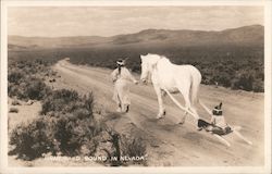 Homeward Bound in Nevada Postcard