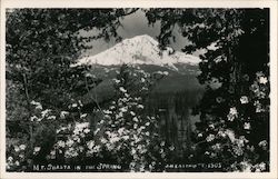 Mt. Shasta in the Spring Mount Shasta, CA Postcard Postcard Postcard