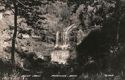 Alger Falls Munising, Mich. Postcard