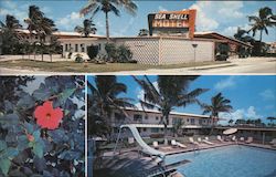 Sea Shell Motel Naples, FL Postcard Postcard Postcard
