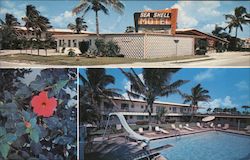 Sea Shell Motel Postcard