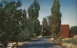 Columbia Historical State Park Fresno, CA Postcard Postcard Postcard