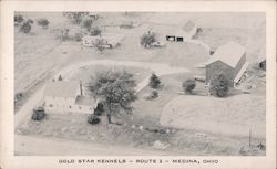 Gold Star Kennels Medina, OH Postcard Postcard Postcard