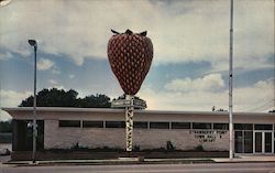 Town Hall and Library Postcard