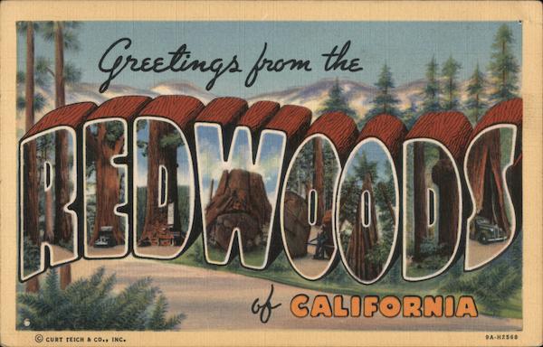 Greetings from Redwoods California