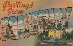 Greetings from Salisbury Maryland Postcard Postcard Postcard