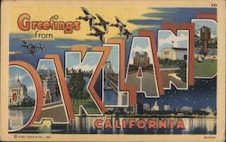 Greetings from Oakland California Postcard Postcard Postcard