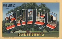 Greetings from Chico Postcard