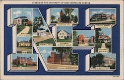 Greetings from New Hampshire Postcard