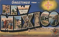 Greetings from New Mexico Postcard