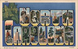 Greetings from North Carolina Postcard