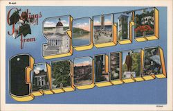 Greetings from South Carolina Postcard