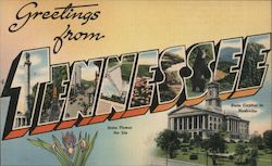 Greetings from Tennessee Postcard