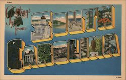 Greetings from South Carolina Postcard