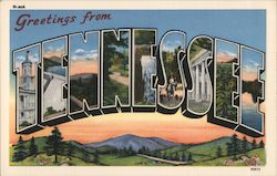 Greetings from Tennessee Postcard Postcard Postcard