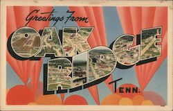 Greetings from Oak Ridge Tennessee Postcard Postcard Postcard