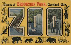 Greetings from Brookside Park Zoo Cleveland, OH Postcard Postcard Postcard