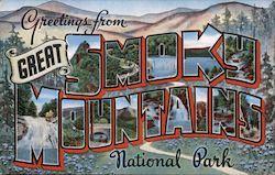 Greetings from Smoky Mountains National Park Postcard