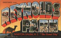Greetings from Reynolds Park Postcard