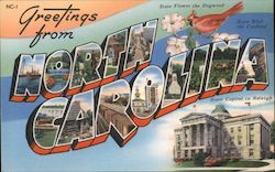 Greetings from North Carolina Postcard