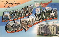 Greetings from North Carolina Postcard