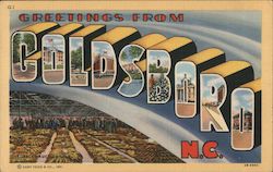 Greetings from Goldsboro Postcard