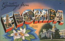 Greetings from Florida Postcard