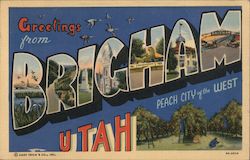 Greetings from Brigham Brigham City, UT Postcard Postcard Postcard
