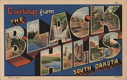 Greetings from Black Hills Postcard