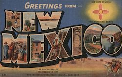 Greetings from New Mexico Postcard