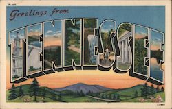 Greetings from Tennessee Postcard Postcard Postcard