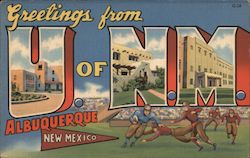 Greetings from Albuquerque Postcard