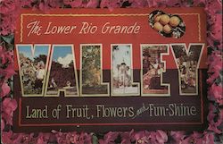 Greetings from Rio Grande Valley Texas Postcard Postcard Postcard