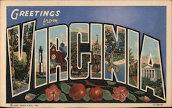 Greetings from Virginia Postcard