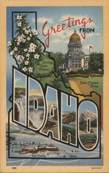 Greetings from Idaho Postcard