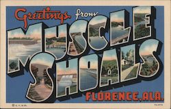 Greetings from Florence Alabama Postcard Postcard Postcard