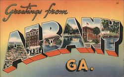 Greetings from Albany Postcard