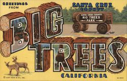 Greetings from Big Trees California Postcard Postcard Postcard