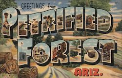 Greetings from Petrified Forest Petrified Forest National Park, AZ Postcard Postcard Postcard